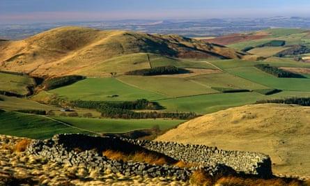 An autumn vista in the Cheviot Hills near Yeavering Bell.
