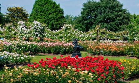 London. Regents Park, Queen Mary's Gardens
