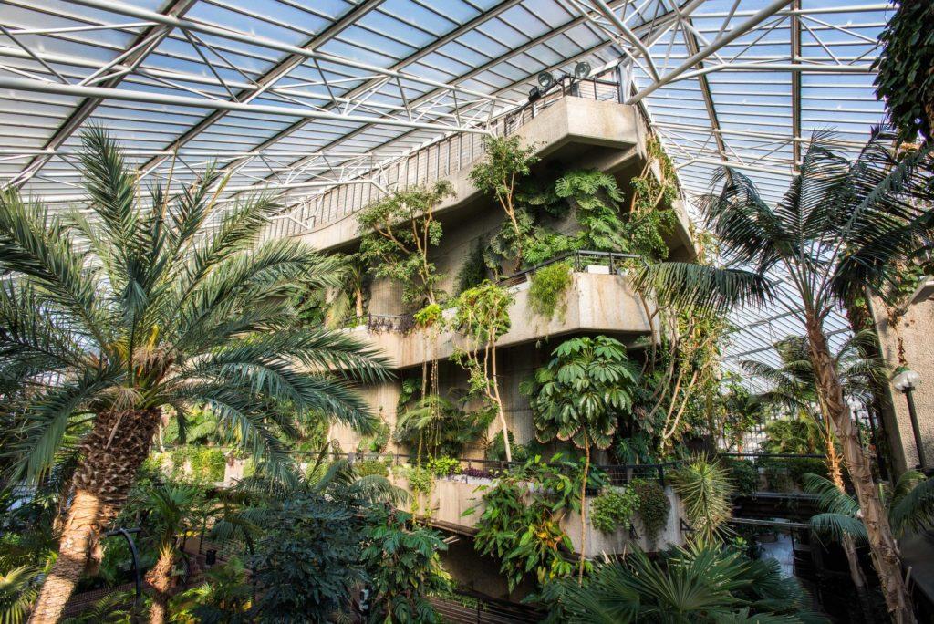 the barbican conservatory, covered in greenery and foliage