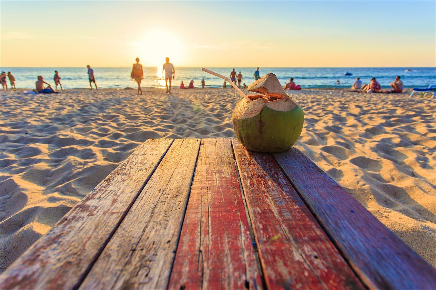 In Thailandia le noci di cocco possono essere letali © iMoved Studio / Shutterstock