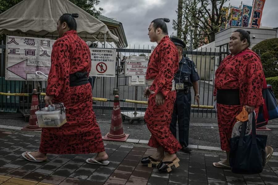 Sumotoris : héros du Japon