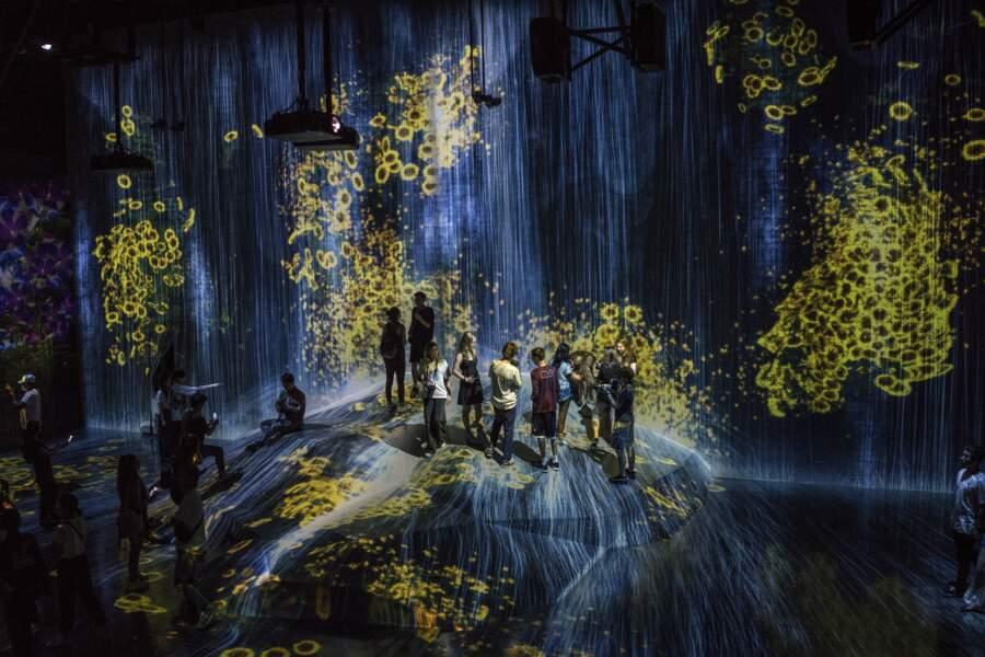 Les artistes envahissent la baie de Tokyo