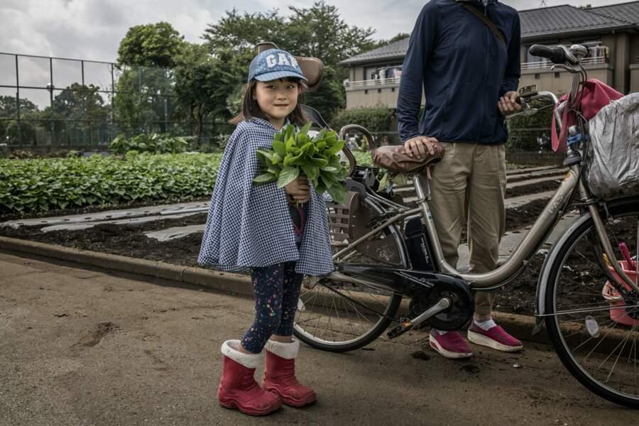 Mitaka, campagne tokyoïte
