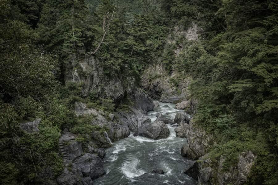 Okutama, escapade à deux heures de Tokyo