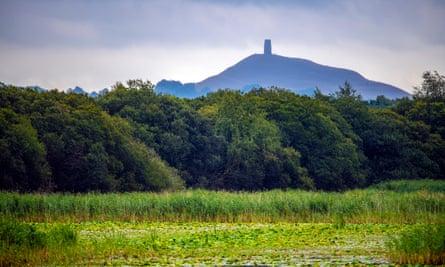 Reeded pools and lakes at Avalon Marshes, with Glastonbury Tor in distance.