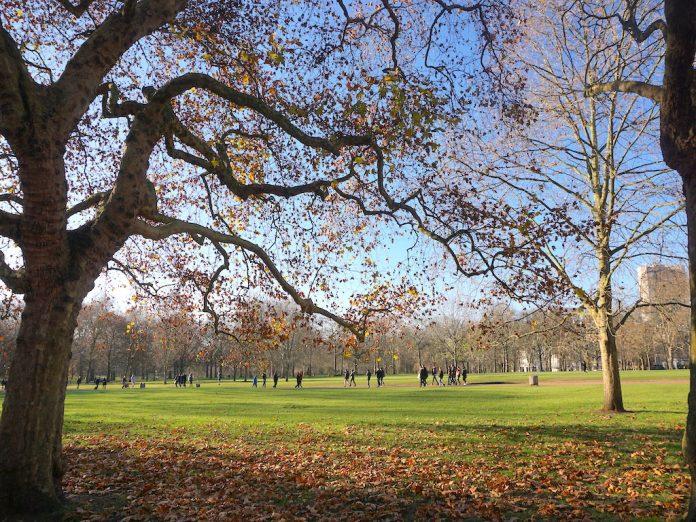England: Discover London's 8 Royal Parks