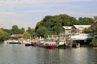 Eel Pie Island