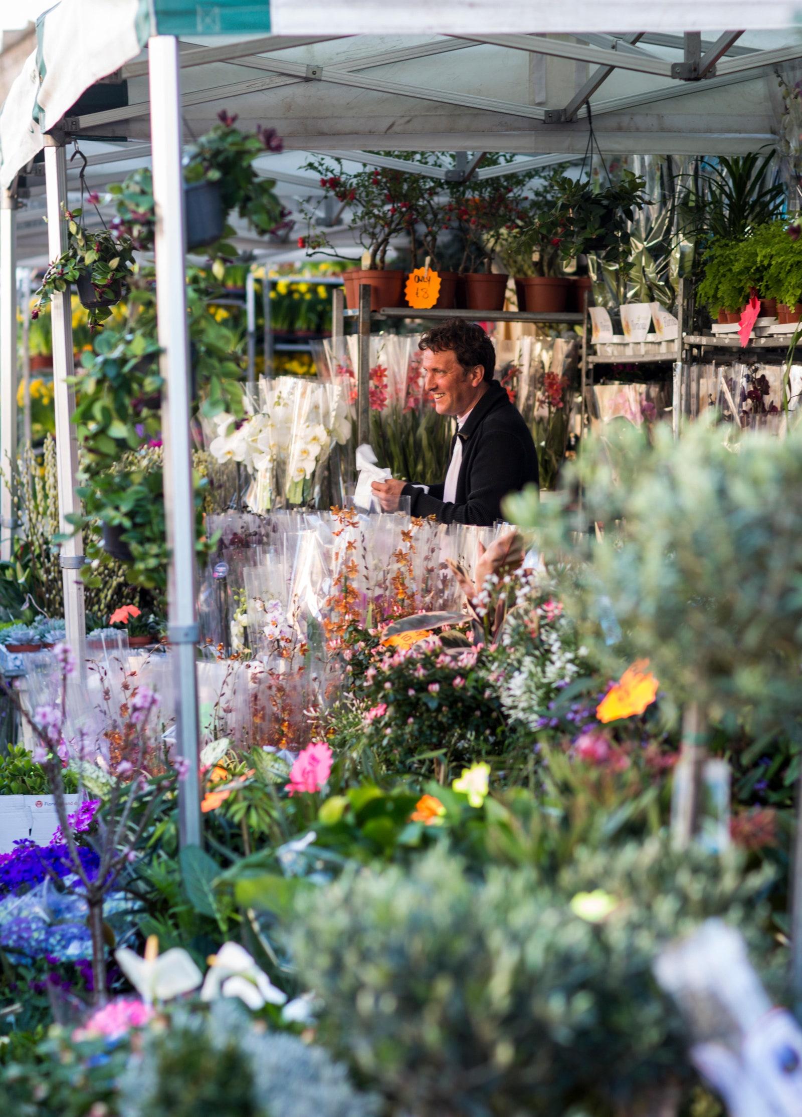 Stalls and flowers at Columbia Road Flower Market London England