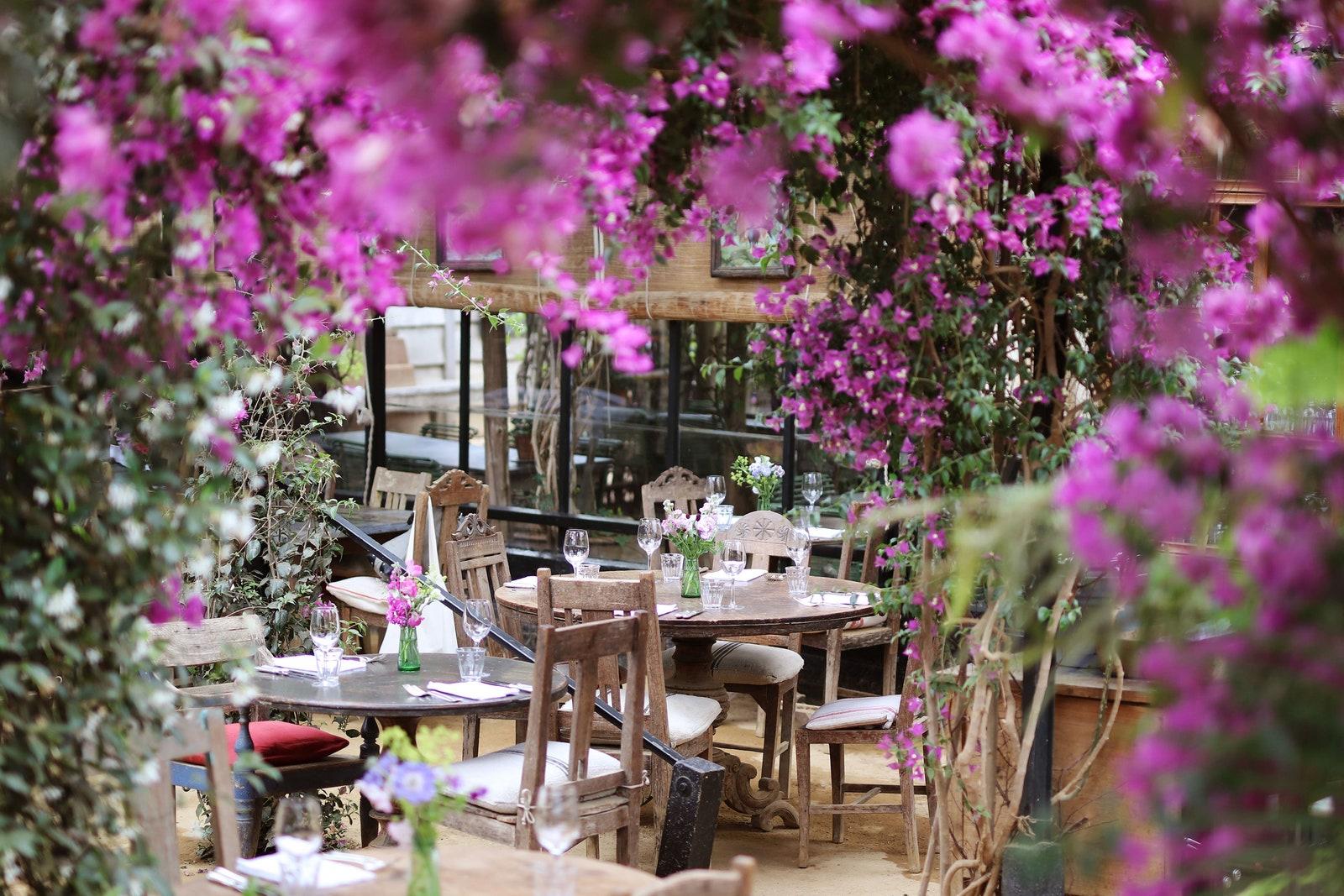 Petersham Nurseries in Richmond